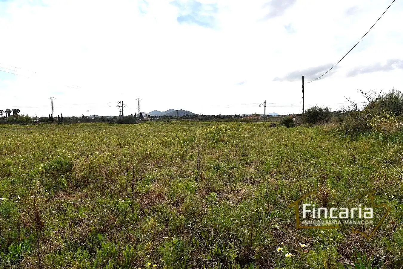 Country homes for sale in Manacor