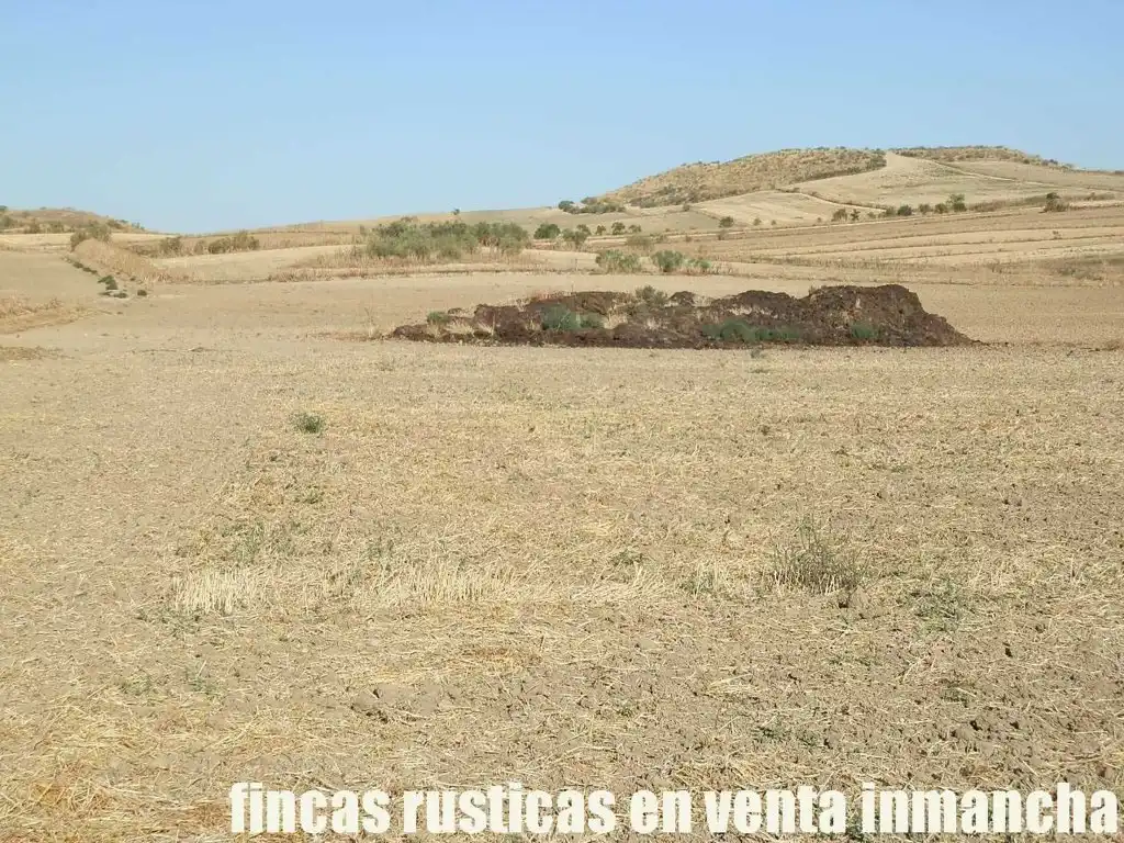 Terreni e lotti in vendita a Bargas, imagen 14