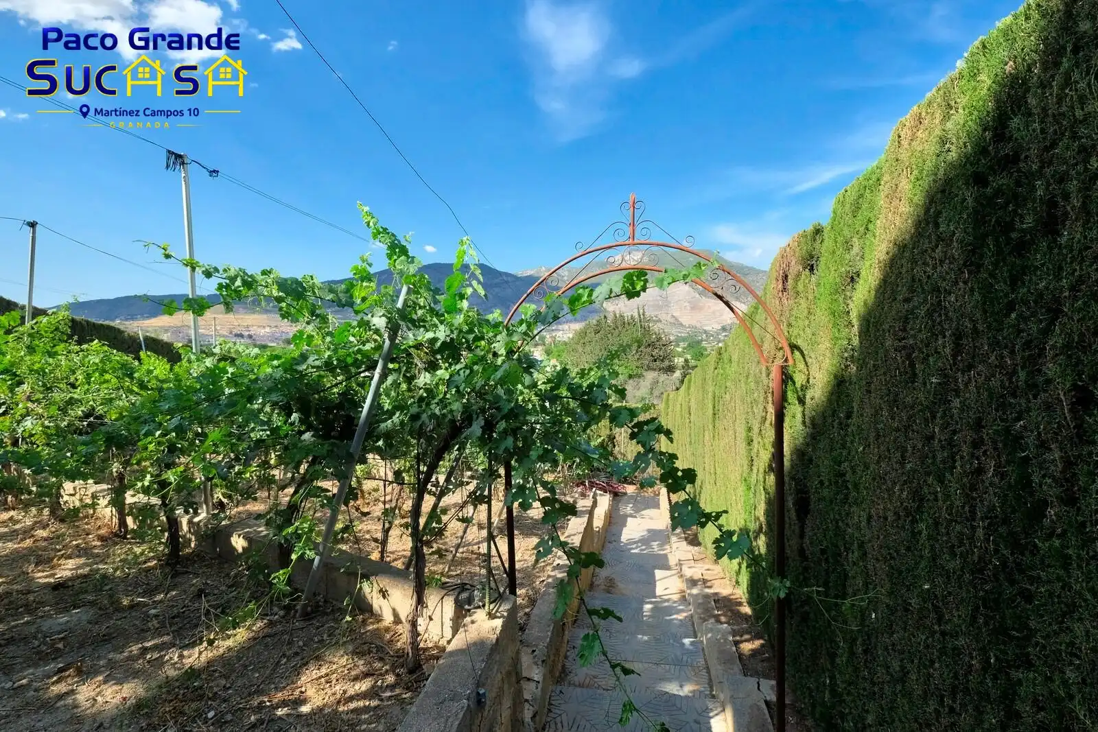Xalet amb piscina en venda a CAMINO VIEJO DE MOTRIL, imagen 20