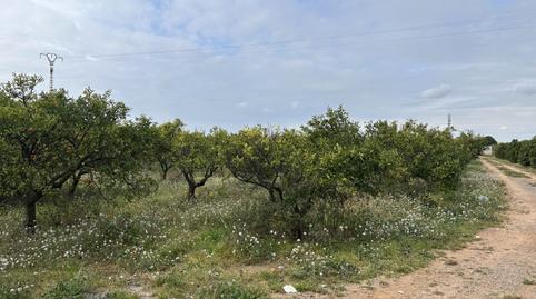 Foto 3 de Finca rústica en venda a Vinamargo, Rafalafena, Castellón de la Plana / Castelló de la Plana