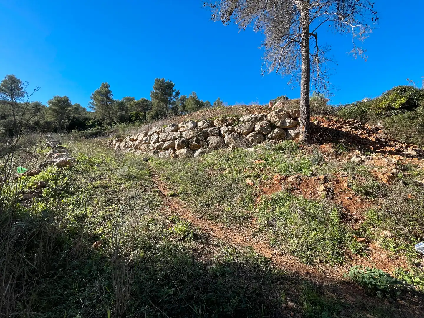 Residencial en venta en Olesa de Bonesvalls