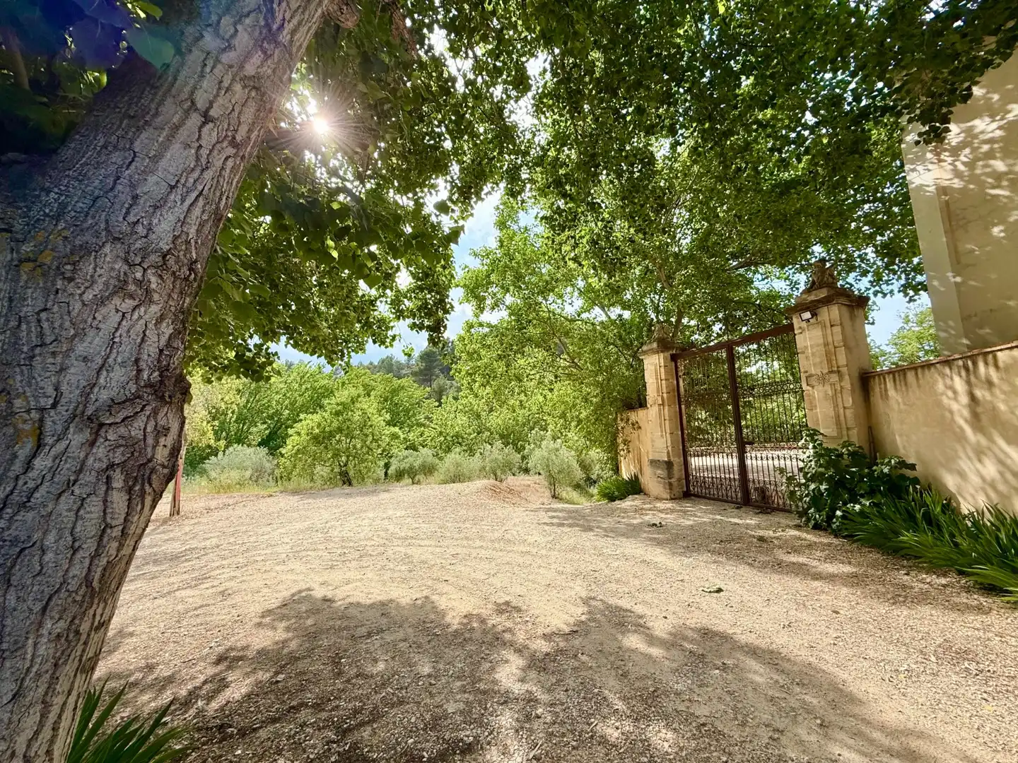 Vista exterior de Finca rústica en venda en Alcoleja amb Aire condicionat, Jardí privat i Terrassa