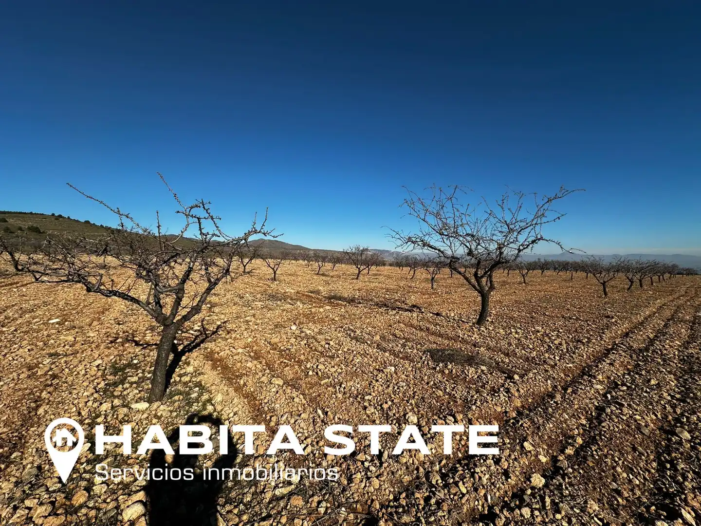 Exterior view of Land for sale in Baza