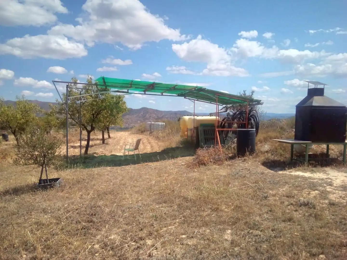 Terrain rustique à vendre à Riba-roja d'Ebre, imagen 5