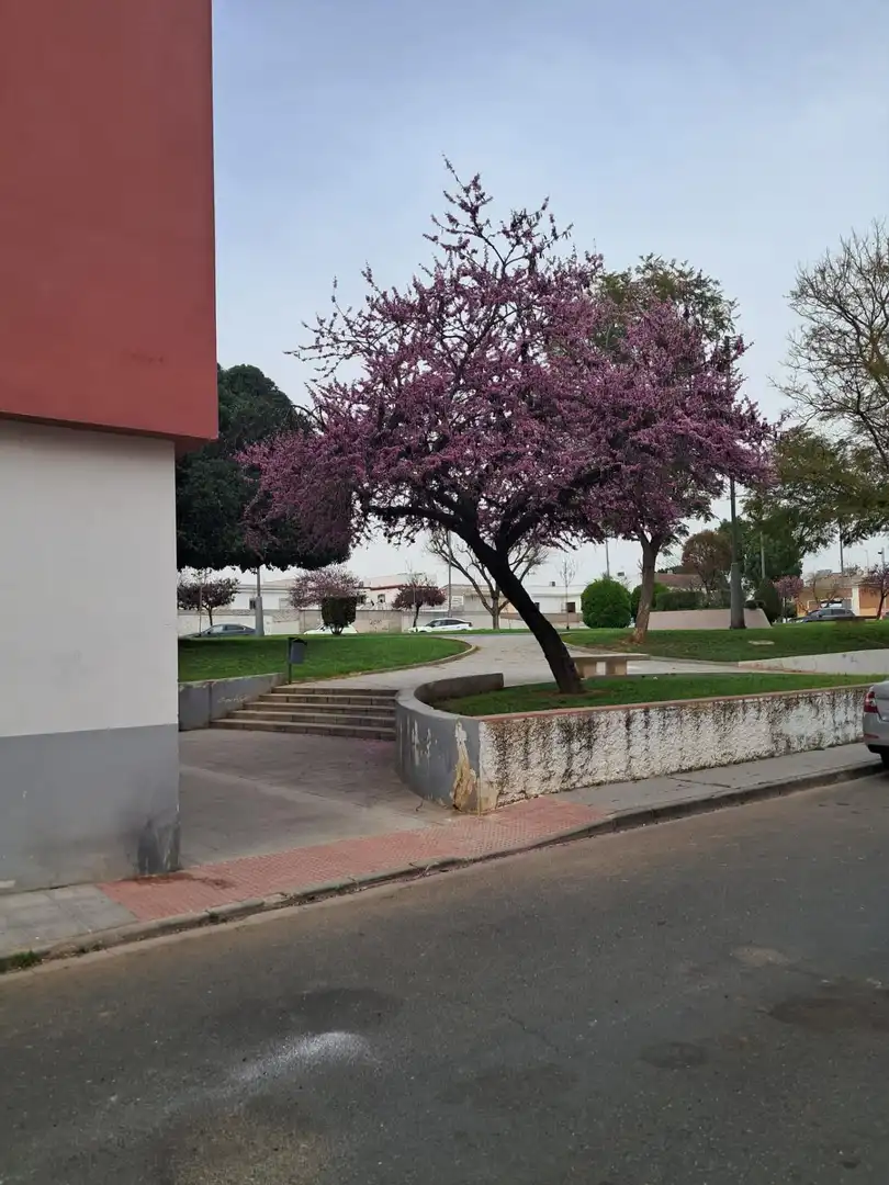 Haus oder Chalet zur Miete in La Rinconada, Sevilla