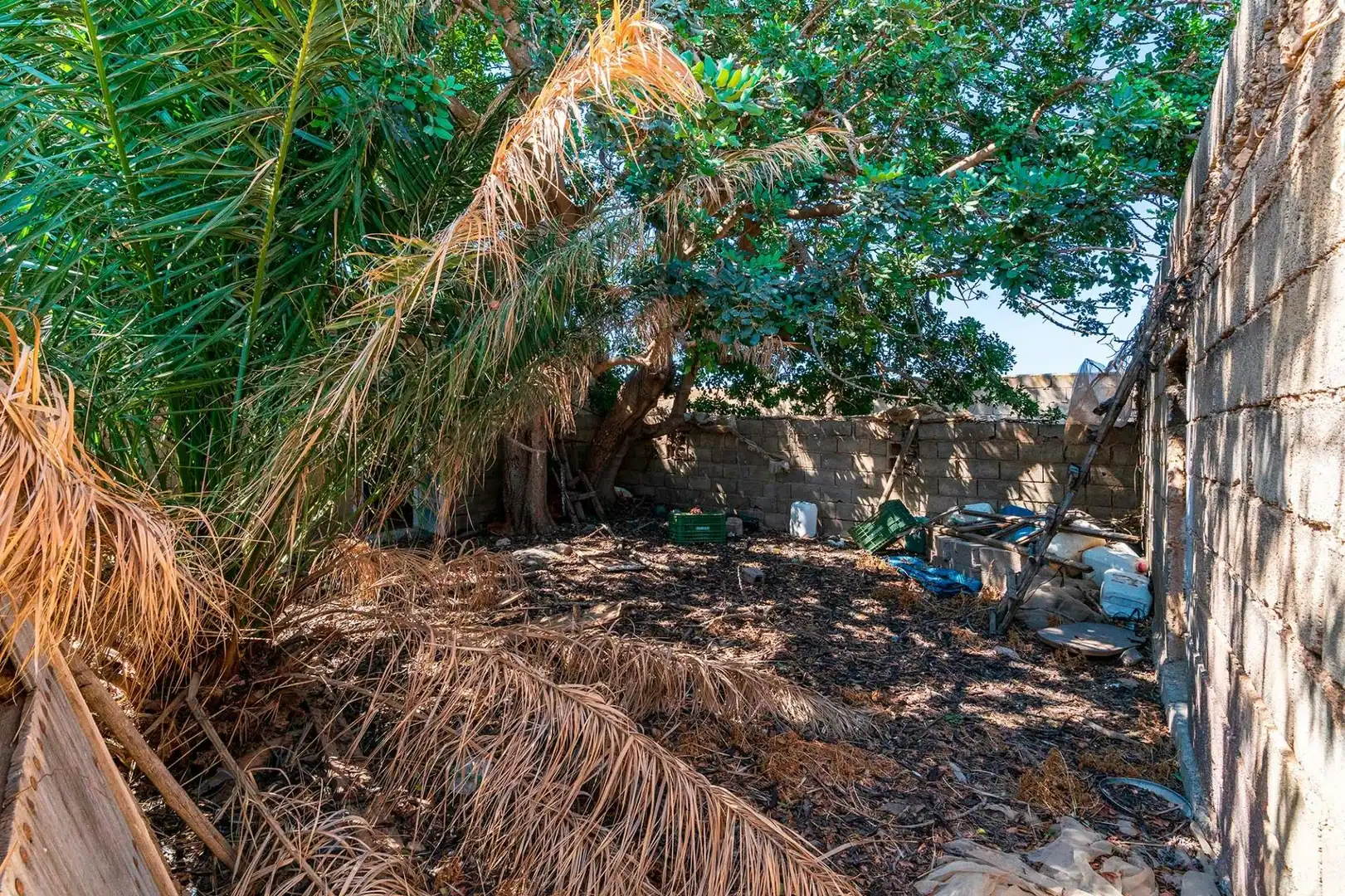 Terreni e lotti in vendita a El Ejido Ciudad, imagen 15
