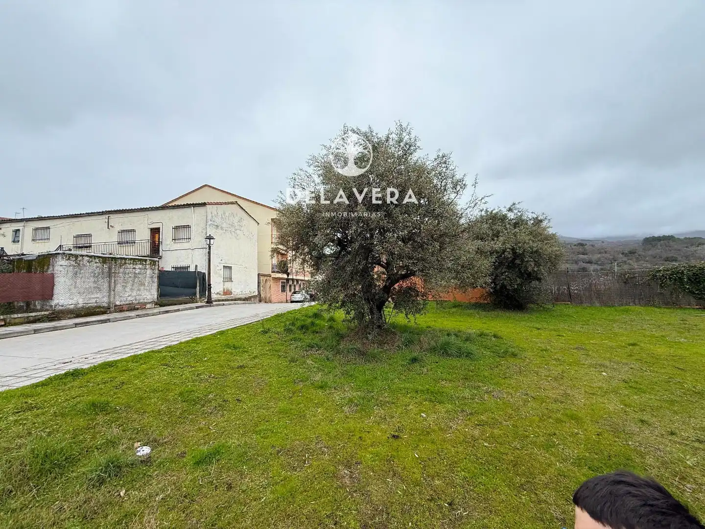 Land for sale in Candeleda