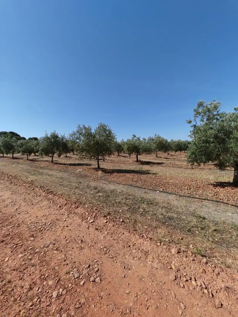 Casa o chalet en venta en Guareña con Terraza y Piscina