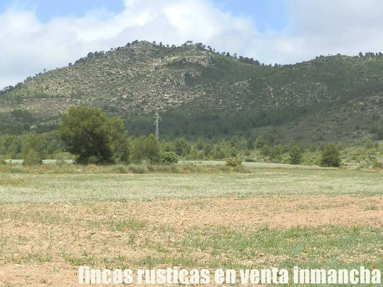 Terreni e lotti in vendita a Elche de la Sierra, imagen 22