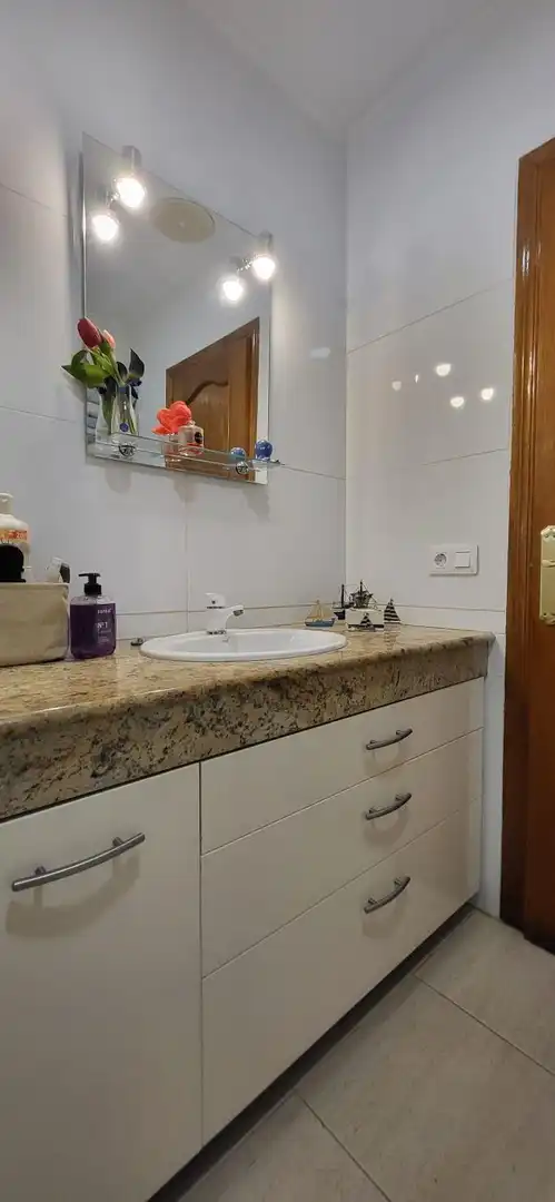 Baño de Casa o chalet en venta en Roquetes con Aire acondicionado, Calefacción y Jardín privado