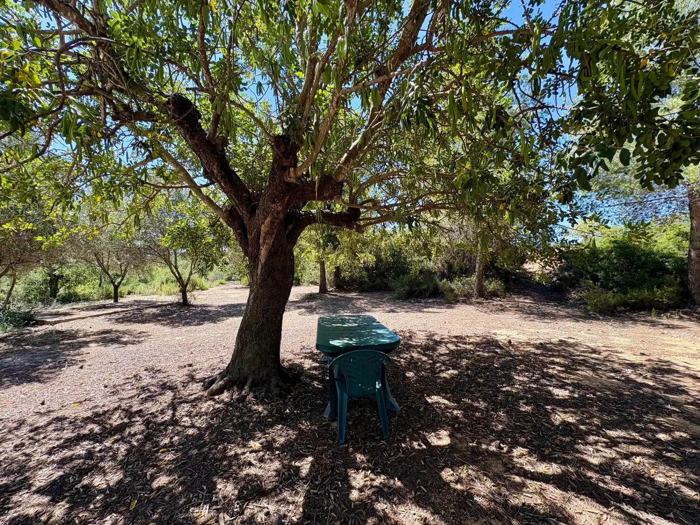 Jardí de Casa o xalet en venda en Cheste amb Aire condicionat, Calefacció i Jardí privat