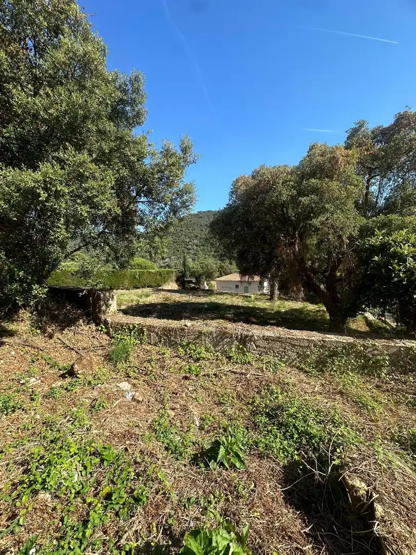 Terrains et parcelles à vendre à DE LA GRALLA, imagen 4