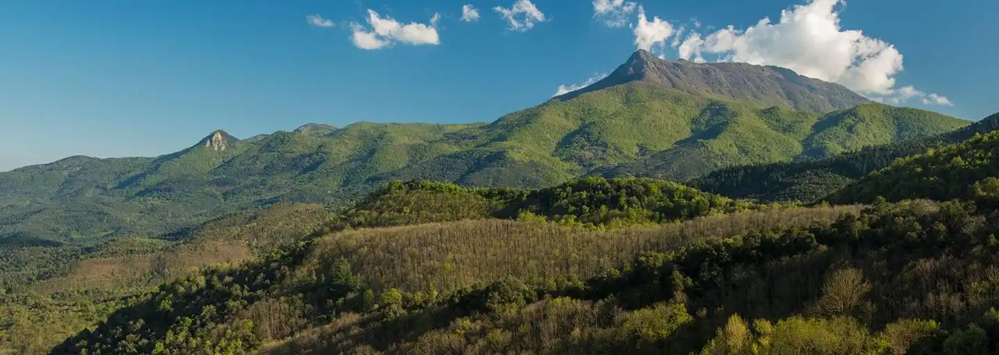 Vista exterior de Finca rústica en venta en Arbúcies con Jardín privado, Terraza y Amueblado