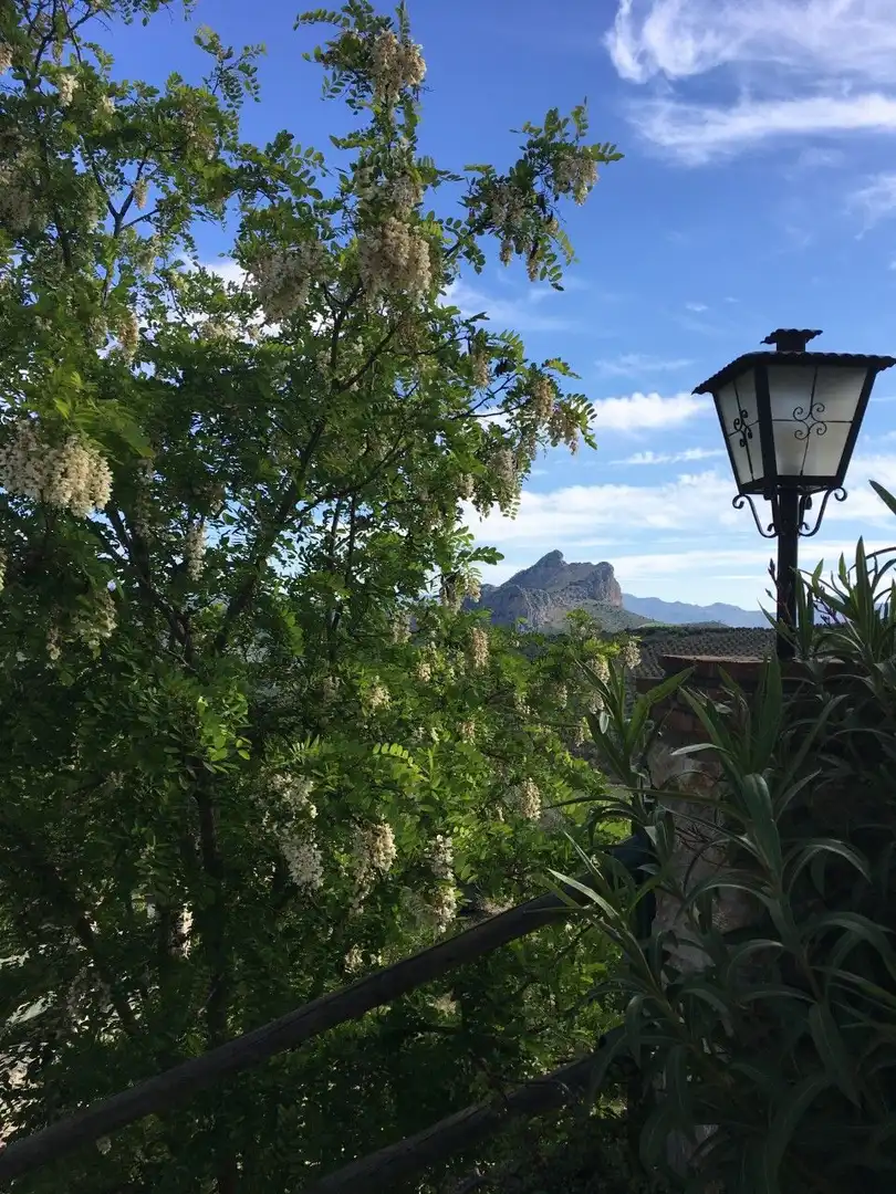 Garden of Country homes for sale in Archidona  with Terrace, Storage room and Furnished