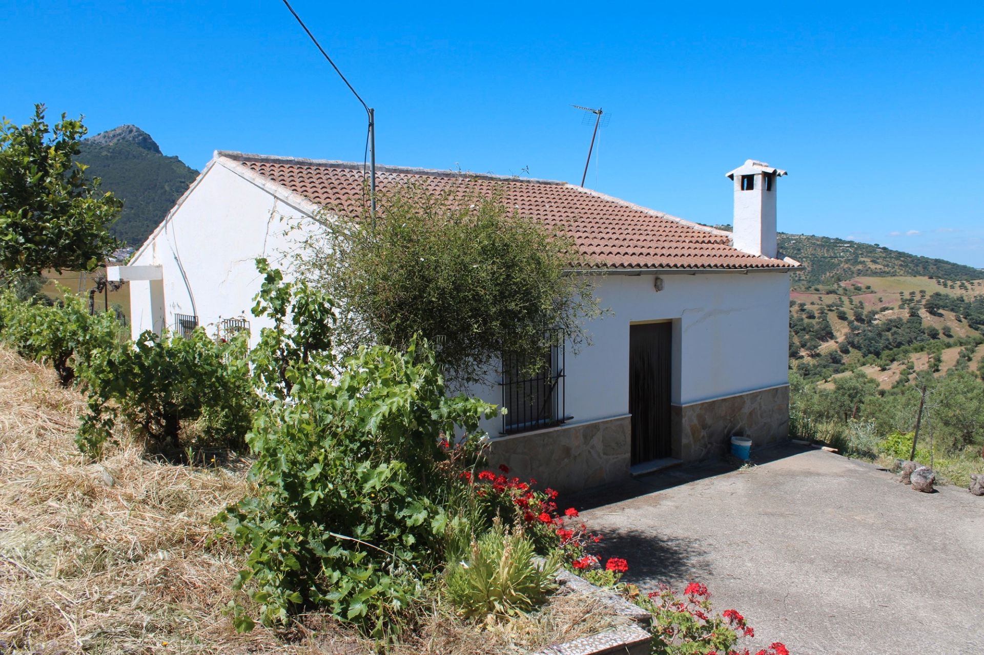 Exterior view of Country house for sale in El Gastor  with Private garden, Furnished and Washing machine