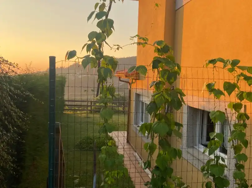 Villa mit Garten zur Miete in Lugar Castro Nucleo 96, imagen 30