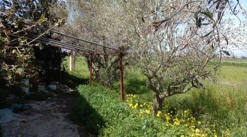 Photo 5 of Country house for sale in Calle Infanta Leonor, 45, San Fulgencio, Alicante