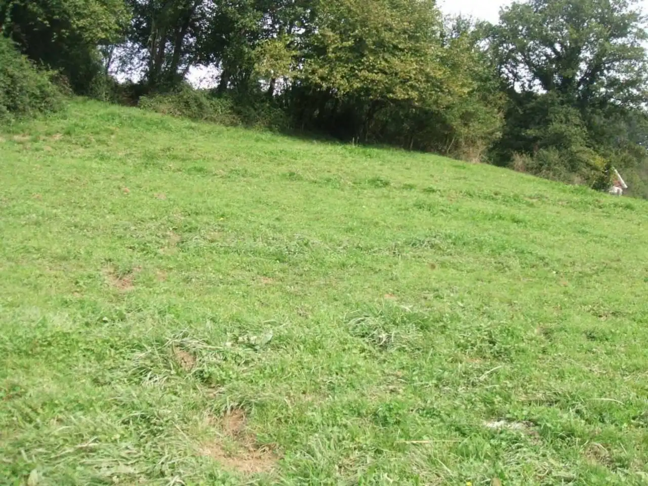 Terreno residenziale in vendita a Karrantza Harana/Valle de Carranza