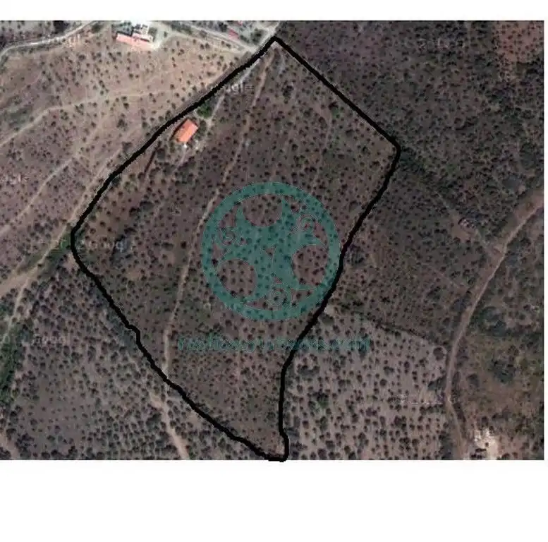 Xalet amb jardí en venda a Calle Buenavista, imagen 5