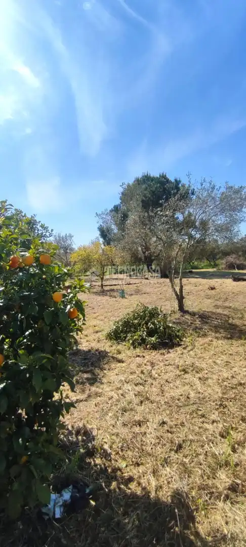 Terreno en venta en Alcalá de Guadaira