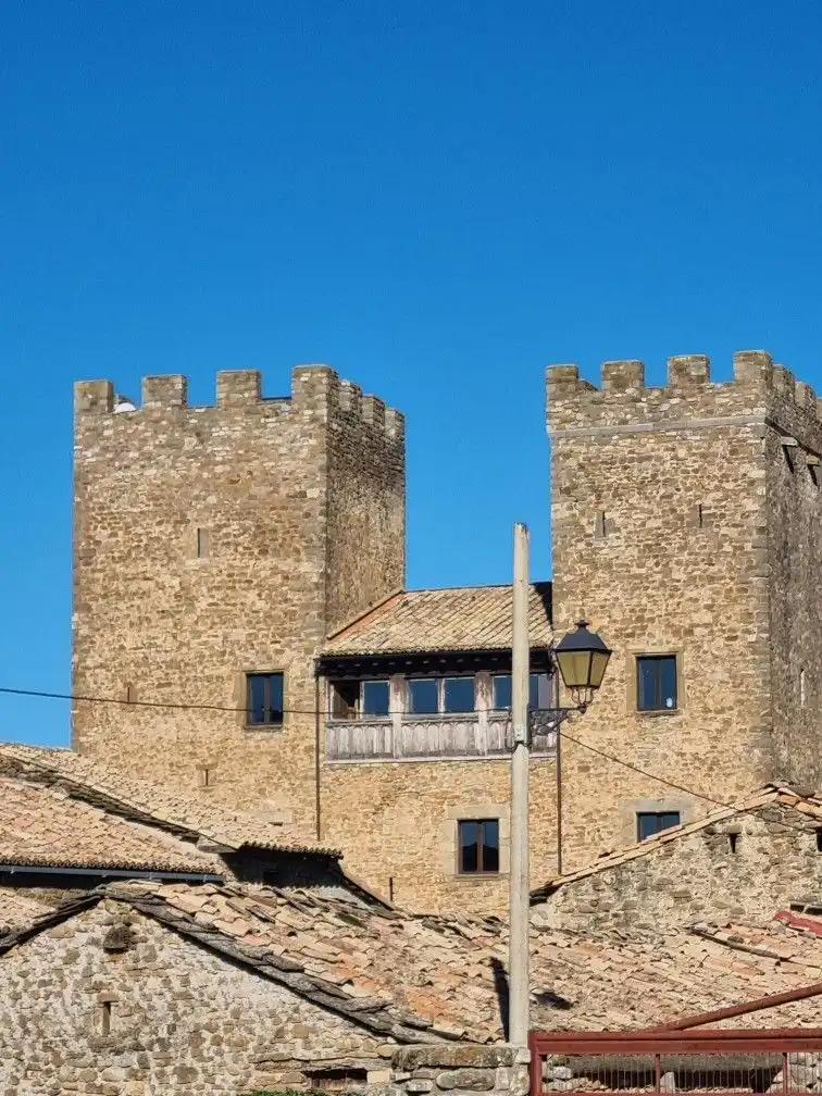 Land for sale in ÚNICA, Canal de Berdún