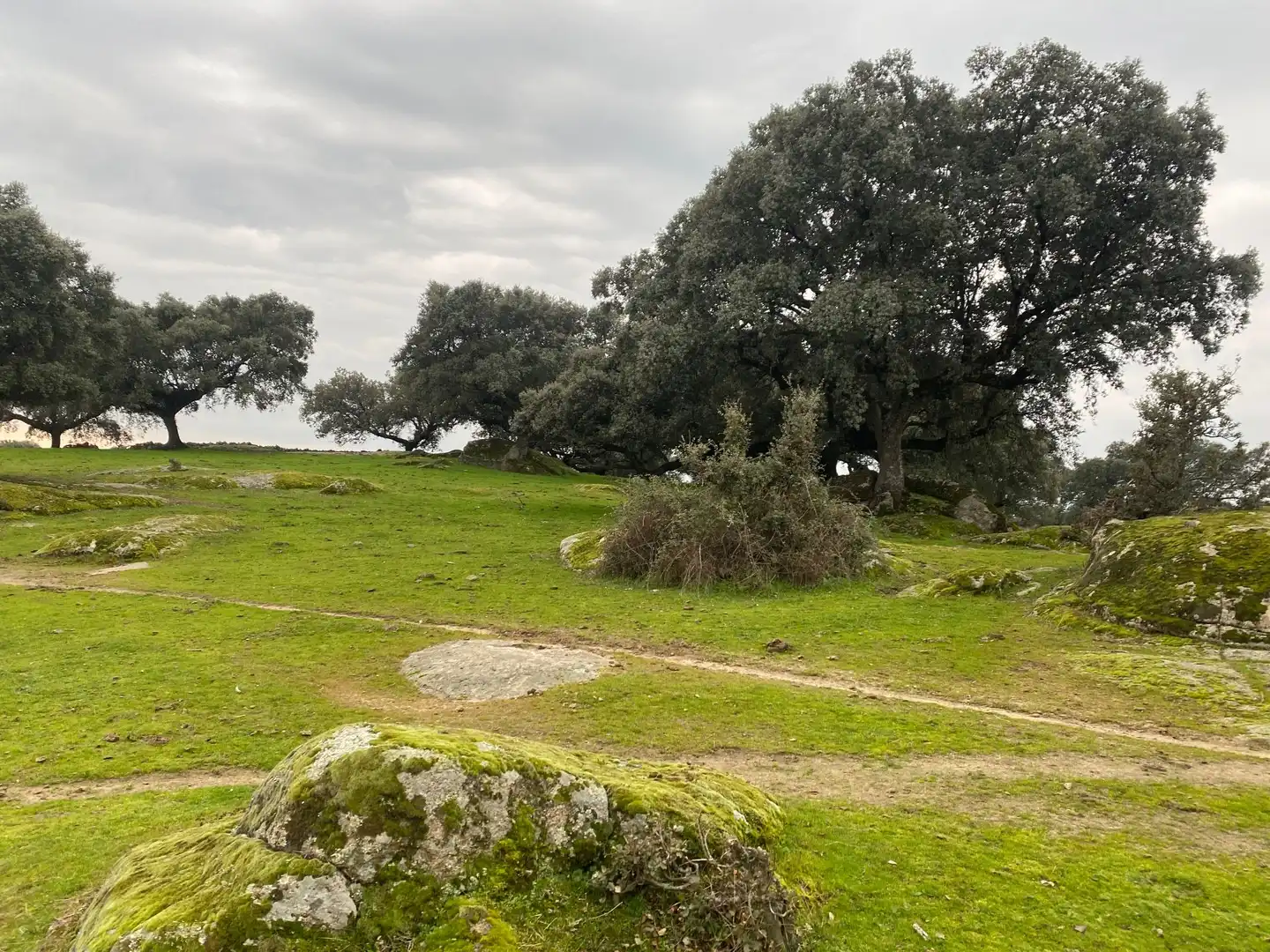 Terreno en venta en Navamorcuende