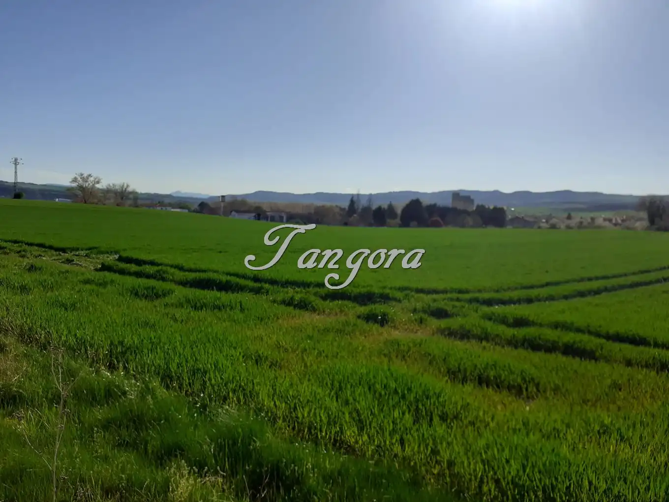 Industrial land for sale in La Puebla de Arganzón 