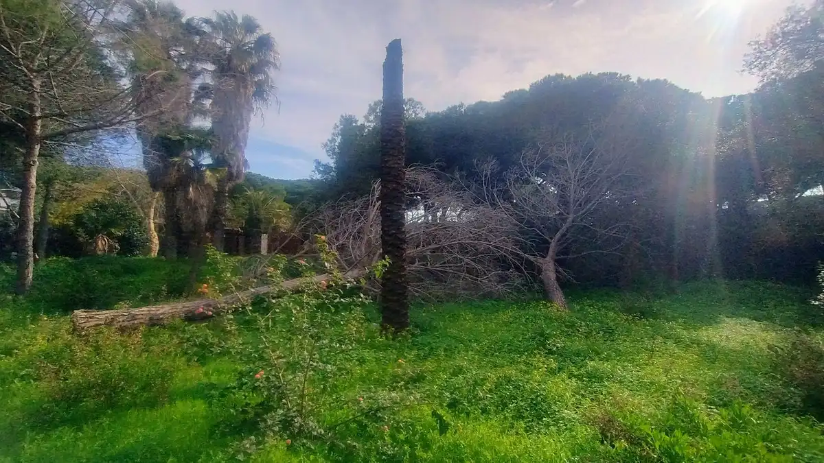 Terreni e lotti in vendita a Marbella - Marbella,Chapas,Calle Pinsapo, imagen 36