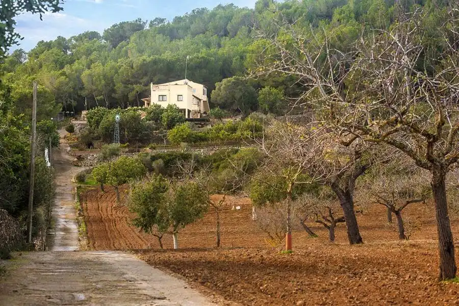 Casa rústica en venta en Manacor Centre, imagen 10