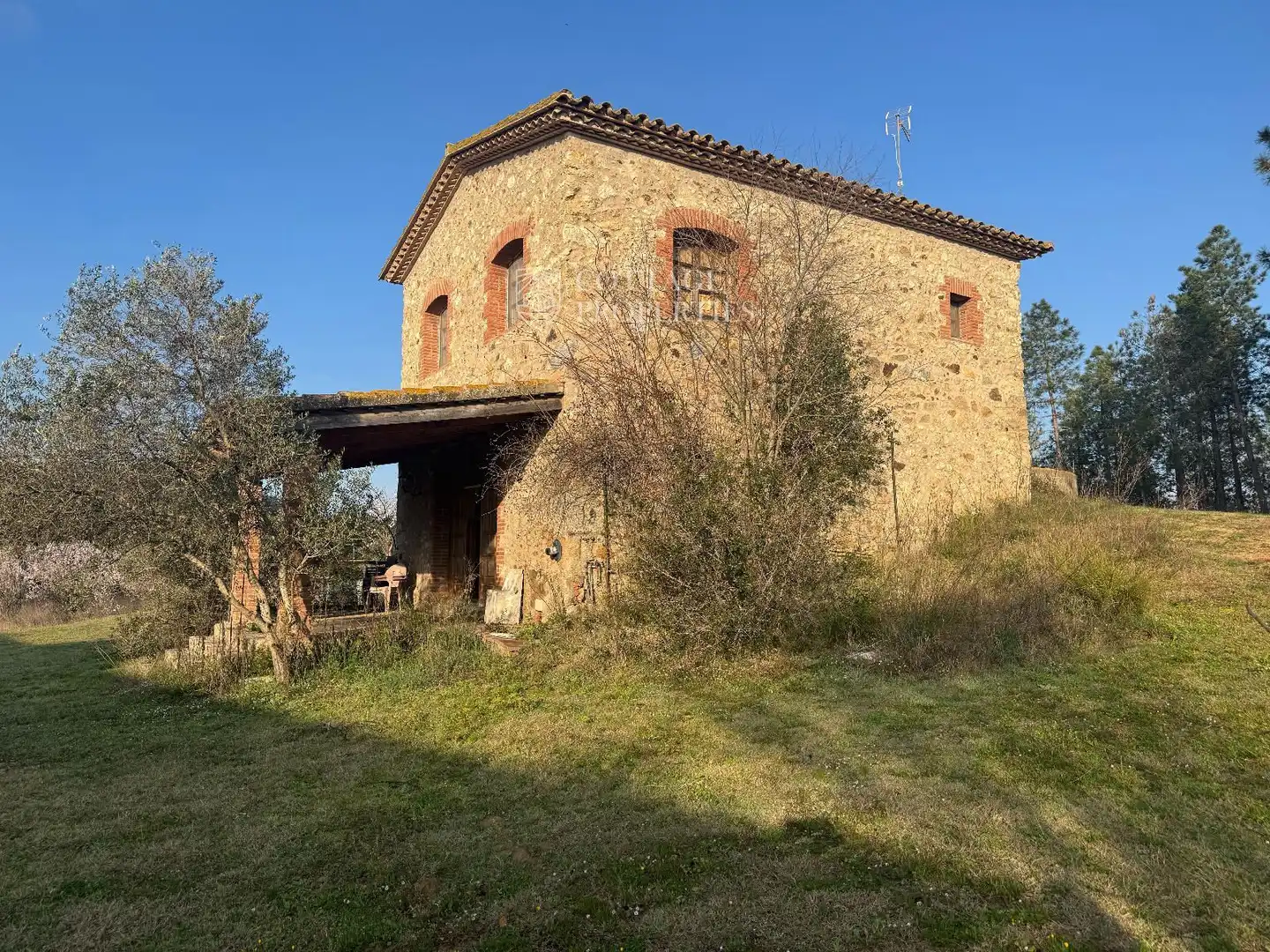 Vista exterior de Finca rústica en venta en Darnius
