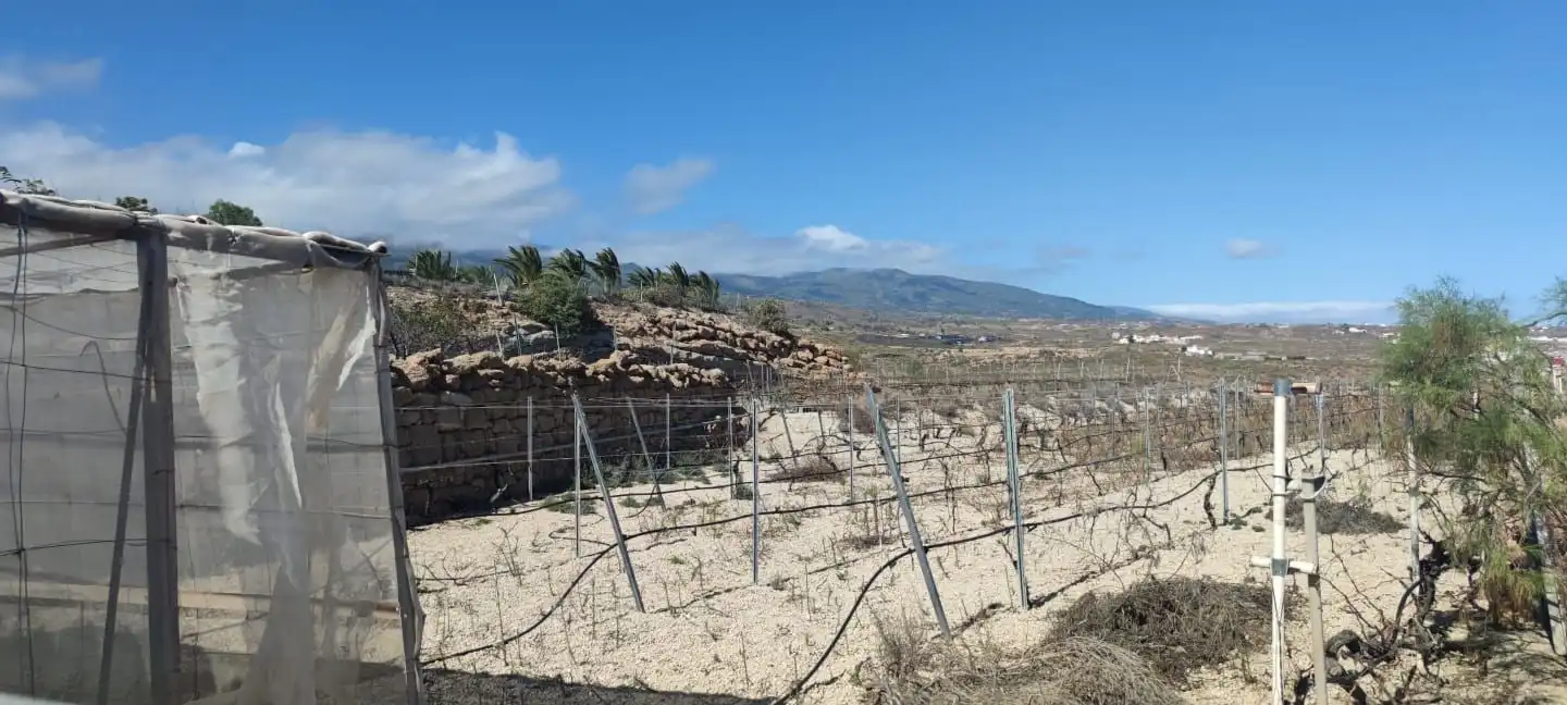 Residencial en venda en Granadilla de Abona