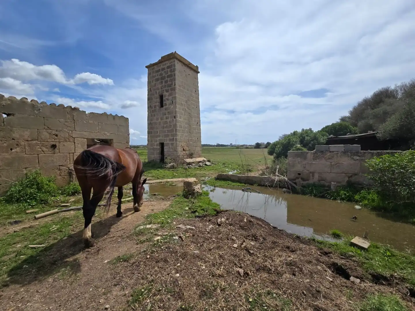 Finca rústica en venta en  Palma de Mallorca con Jardín privado, Terraza y Trastero