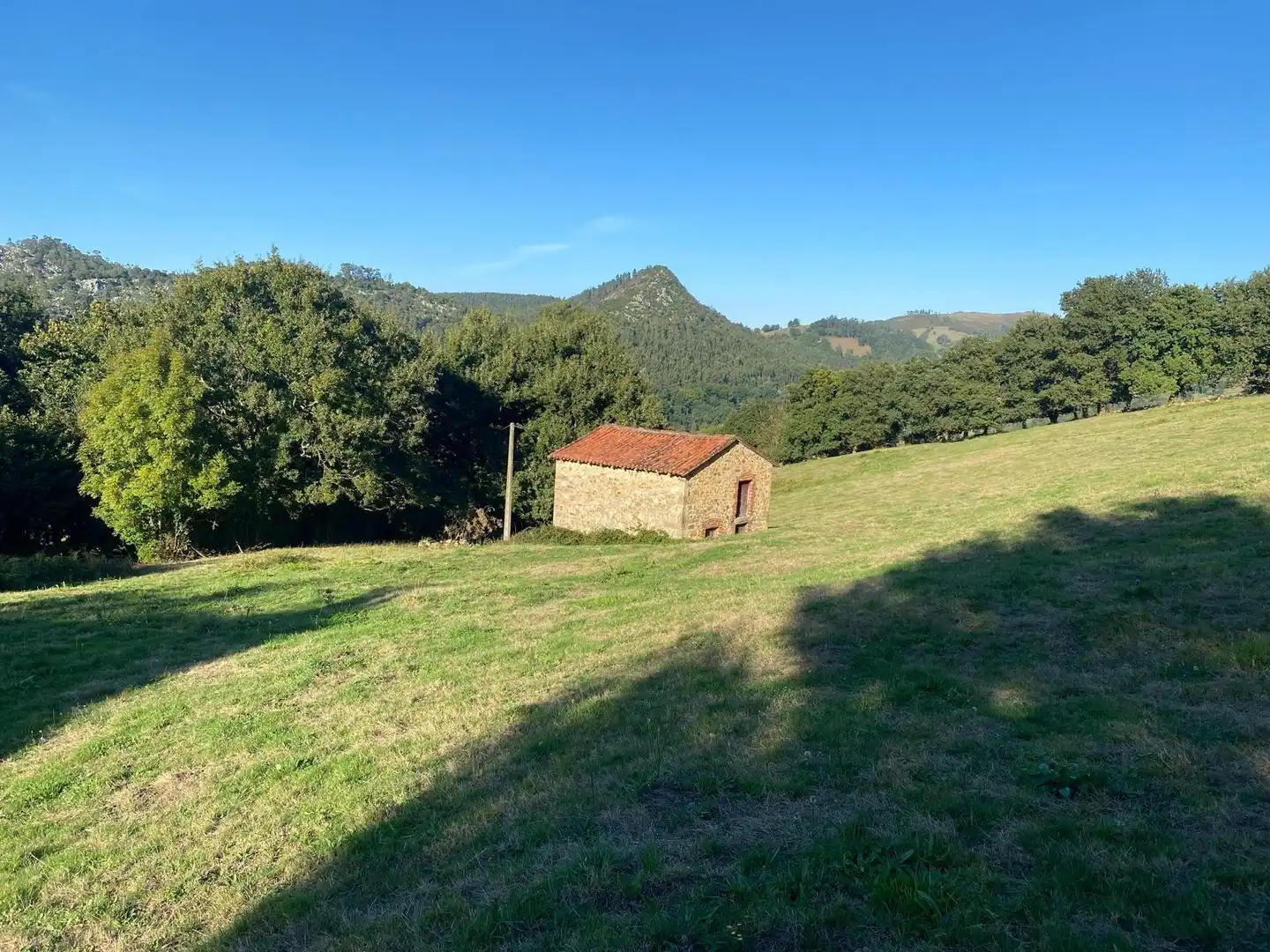 Rural land for sale in Barrio Aes, imagen 13