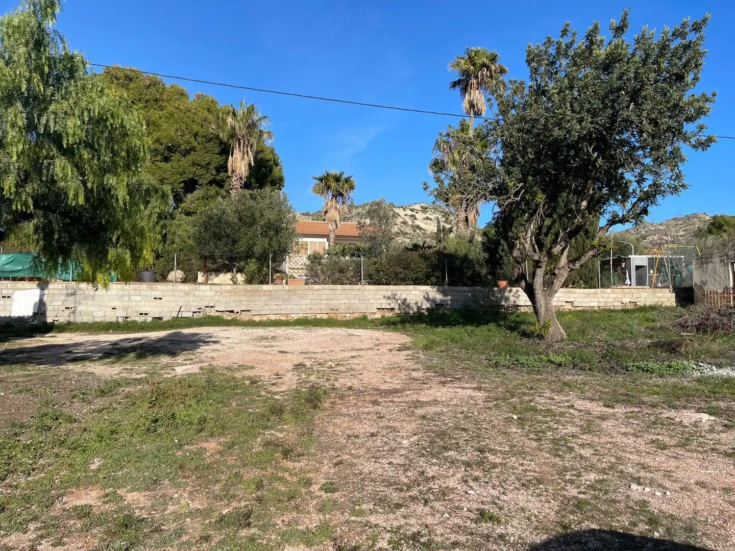 Land for sale in Aspe