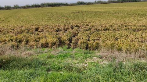 Venta de fincarustica en poligono Polígono, Sollana ValenciaValència, immagine 4