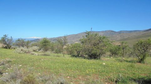 Foto 3 de Terreny en venda a N/a, -1, Fondón, Almería