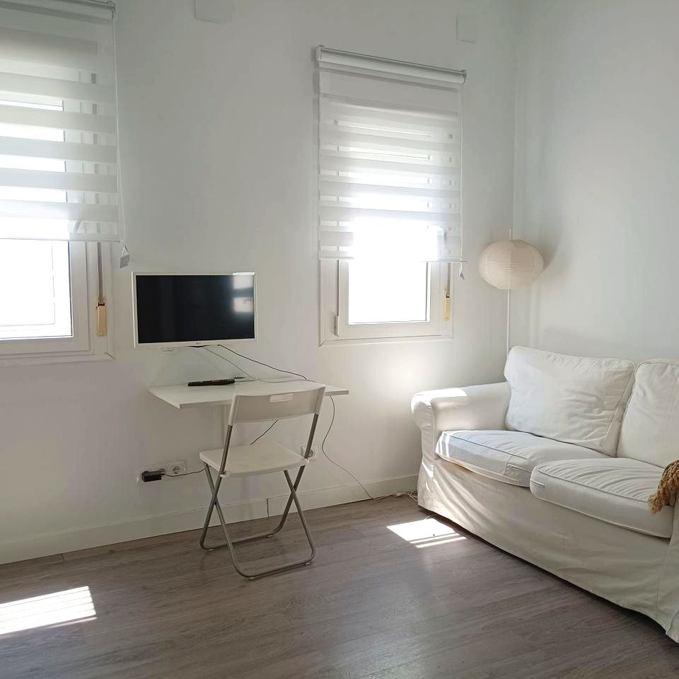 Sala d'estar de Estudi de lloguer en  Madrid Capital amb Aire condicionat, Calefacció i Moblat