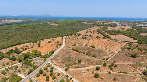 Photo 5 of Residential for sale in Son Serra de Marina, Santa Margalida