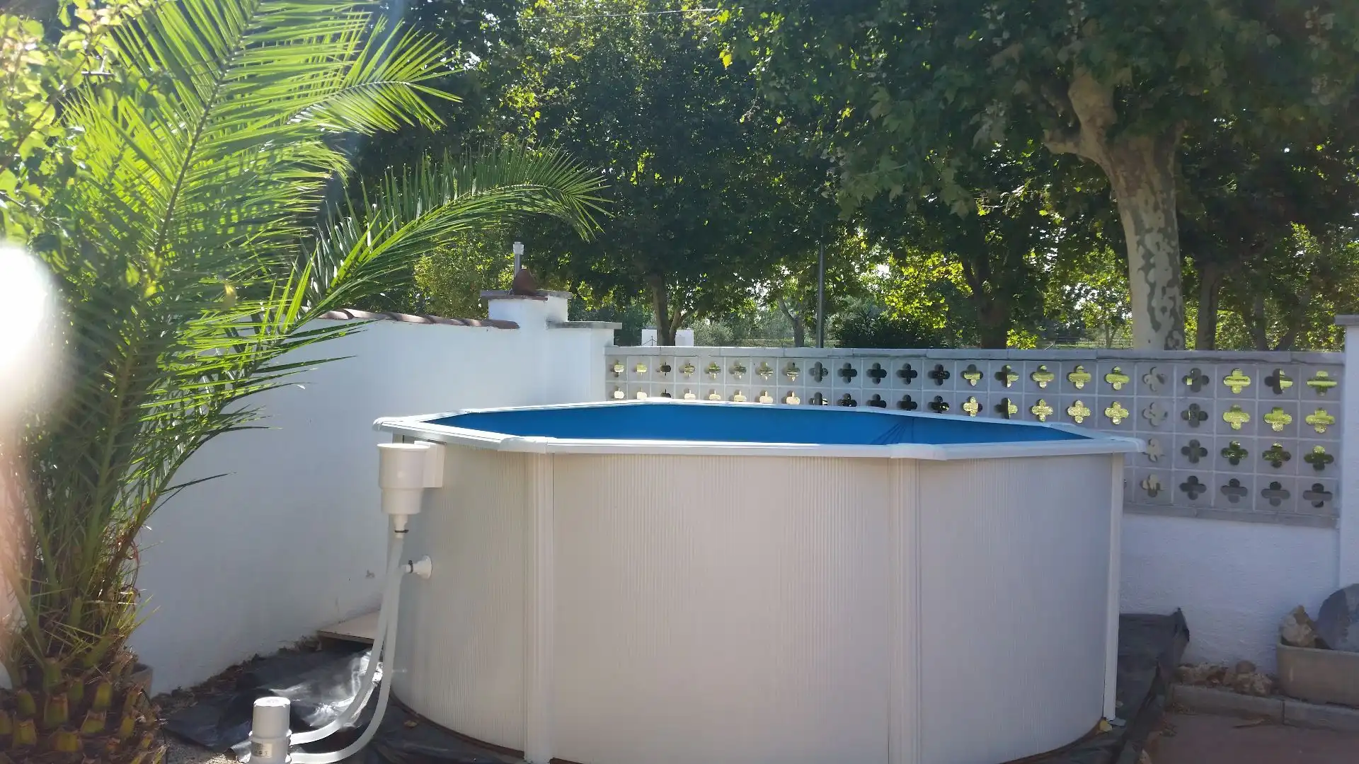 Piscina de Casa o chalet en venta en Empuriabrava