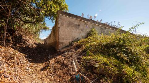 Photo 5 of Land for sale in El Llanillo, El Álamo - Arbejales, Las Palmas