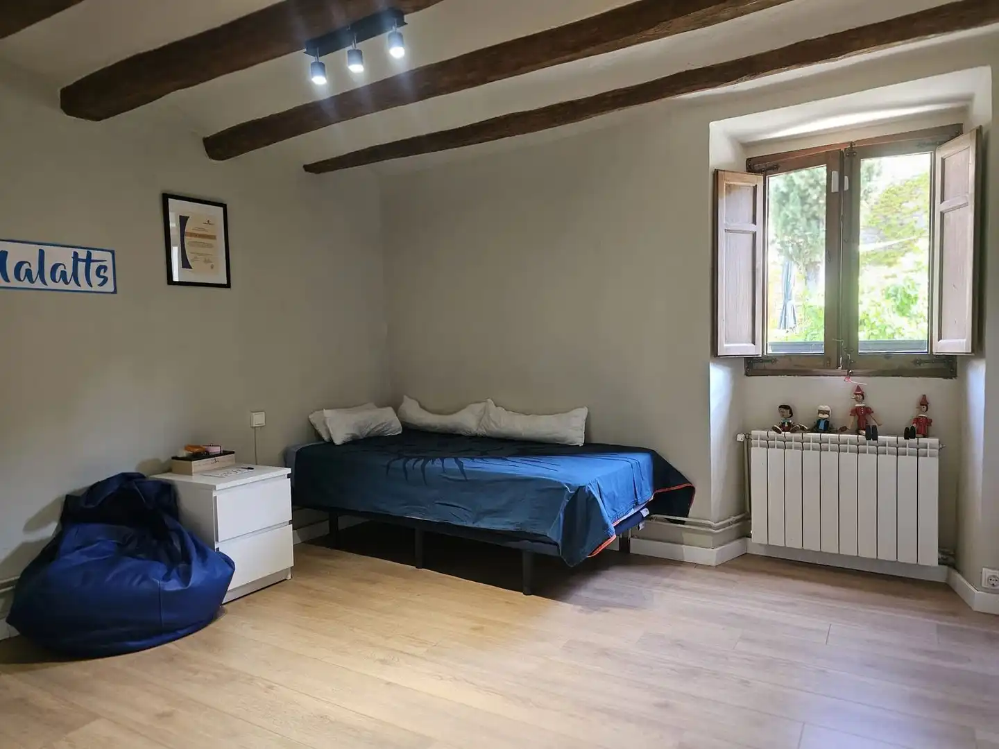 Chalet con jardín en venta en Calle d'Amadeu Vives, imagen 35