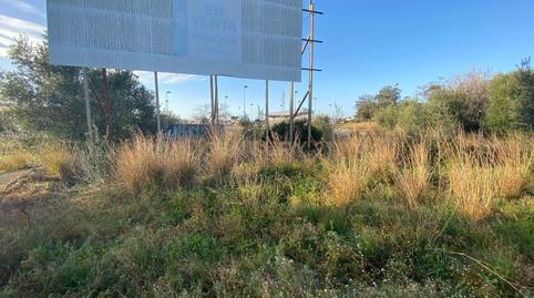 Photo 2 of Residential for sale in Roca Tallada, Alcanar, Spain, -1, Alcanar, Tarragona