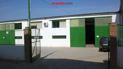 Foto 3 von Fabrikhallen zum Verkauf in Pozoblanco, Córdoba