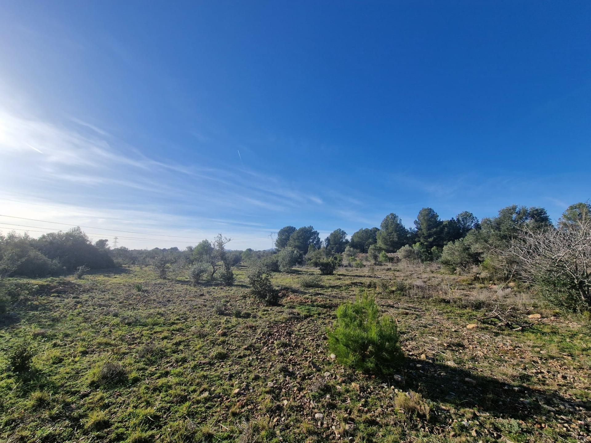 Terreno en venta en  43817, 17, El Pont d'Armentera