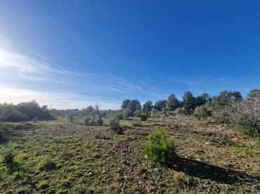 Terrain rustique à vendre à 43817 17