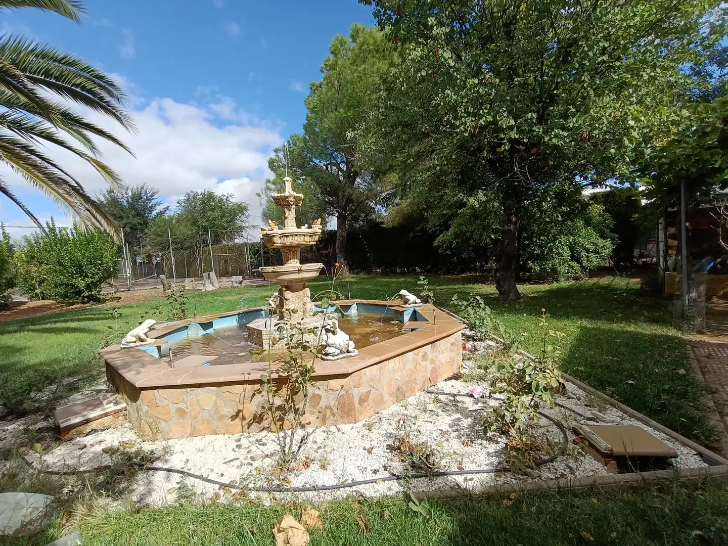 Piscina de Casa o chalet en venta en Ciudad Real con Aire acondicionado, Jardín privado y Piscina