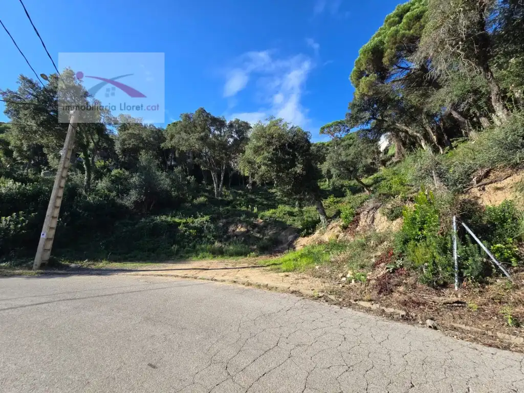 Terreno residencial en venta en Serra Brava, imagen 11