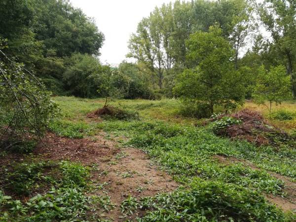 Terreno en Venta en Senda Píos-B en Leiro