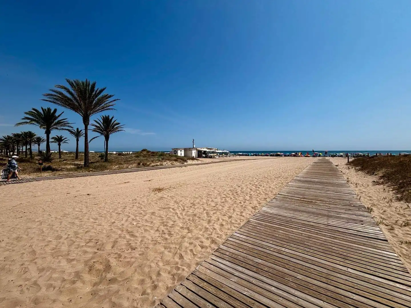 Vista exterior de Apartament en venda en Gandia amb Jardí privat, Terrassa i Balcó