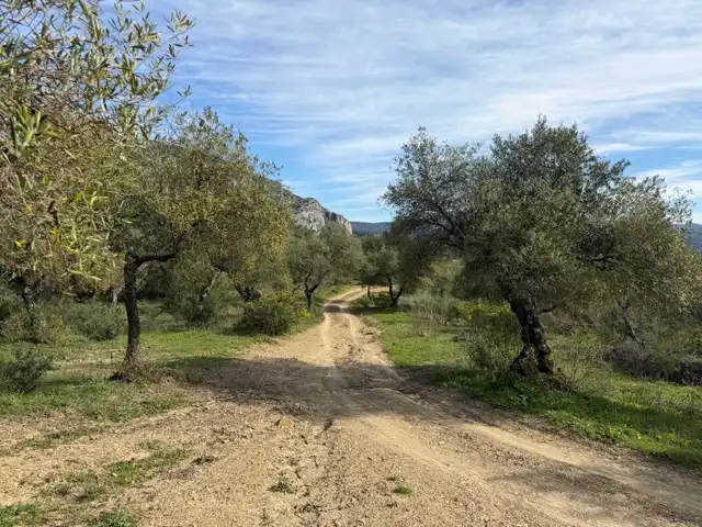 Land for sale in Ubrique